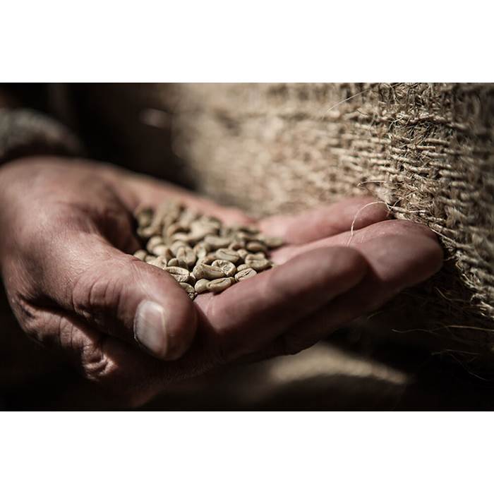Kaffe Green Forest 60x100g eko - 4