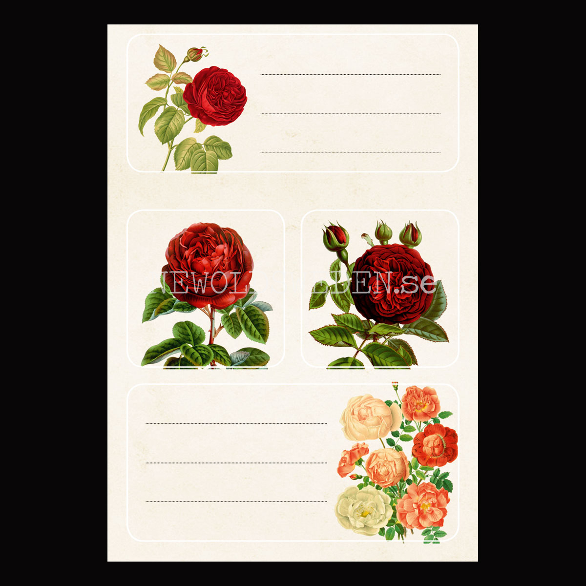 Vintage Stickers & Paketetiketter - RÖDA ROSOR - 3