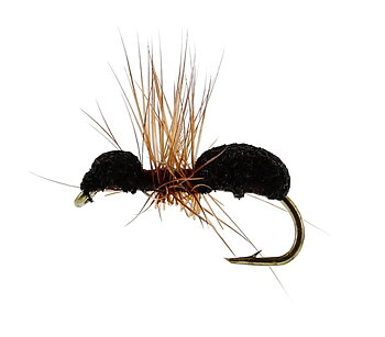 Foam Ant - Brown