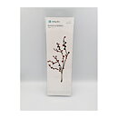 Lifestyle Crafts Cutting Dies - Branch & Berries DC0015
