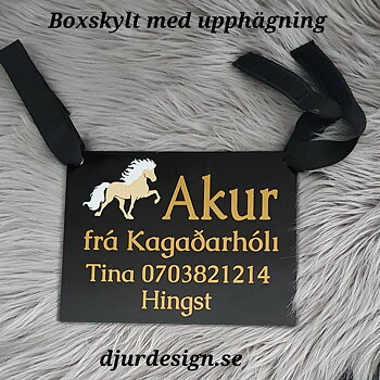 Boxskylt till tävling & kurser mm Smart  med smidig upphängnings band Islandshäst i färger 16 x 21 cm 