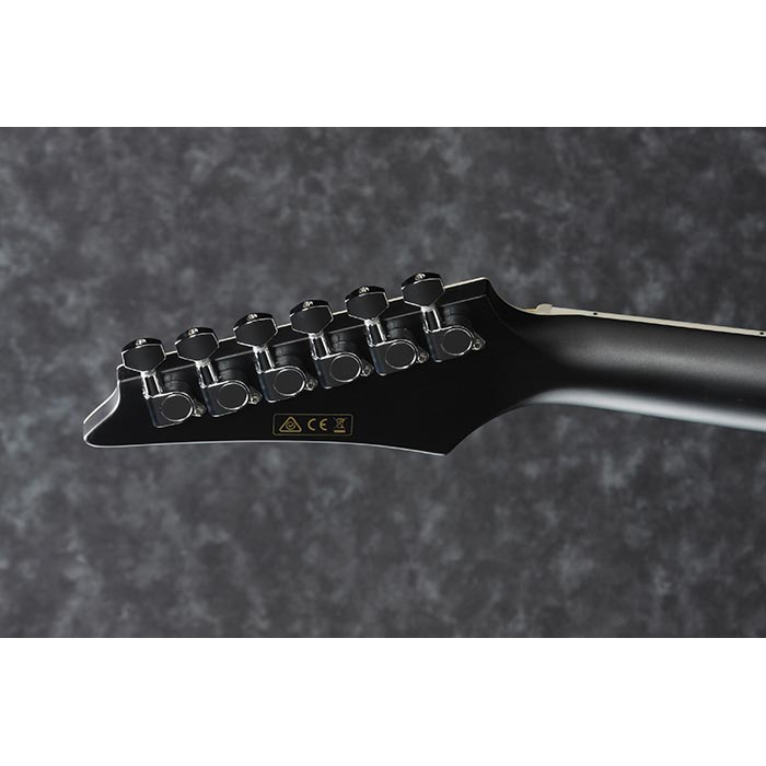 Ibanez ALT30-BKM - 5