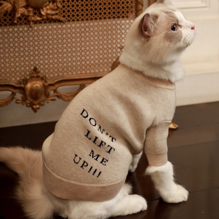 Overglam Dlmu Jumper - 2