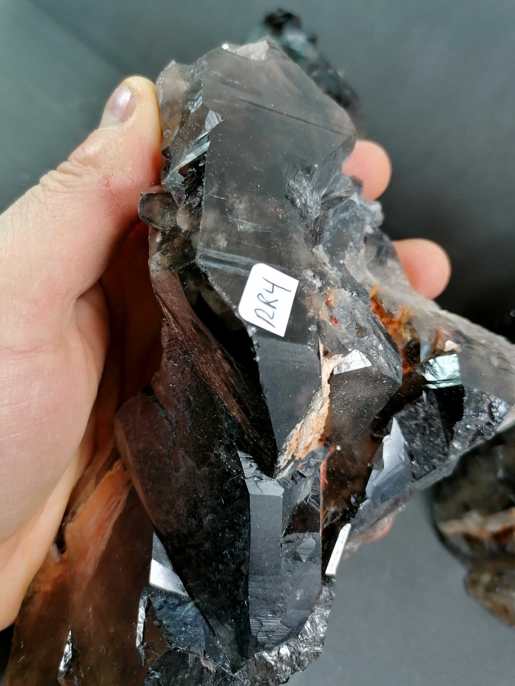 Morion Elestial Rökkvarts, naturliga spetsar med Platt botten - 4