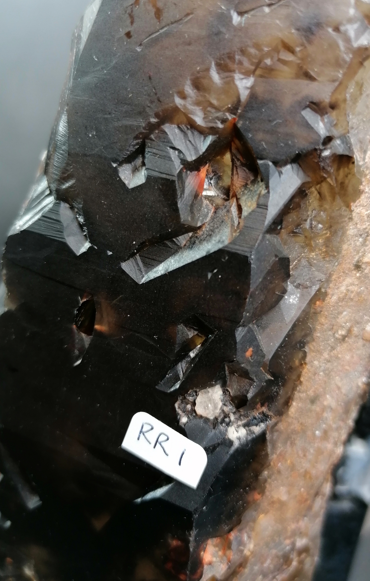 Morion Elestial Rökkvarts, naturliga spetsar med Platt botten - 5