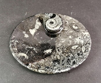 Ovalt Stenfat med Amoniter och Orthoceratiter  - 12cm