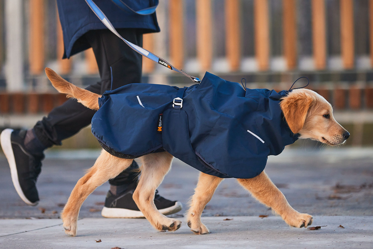 Non-Stop GLACIER WOOL JACKET 2.0 Navy - 2