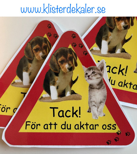 Varningstriangel Akta oss hund och katt