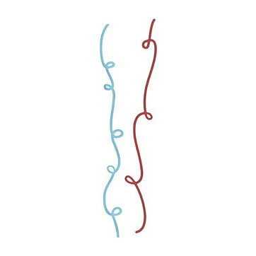 Lifestyle Crafts Cutting Dies - Curls DC0014