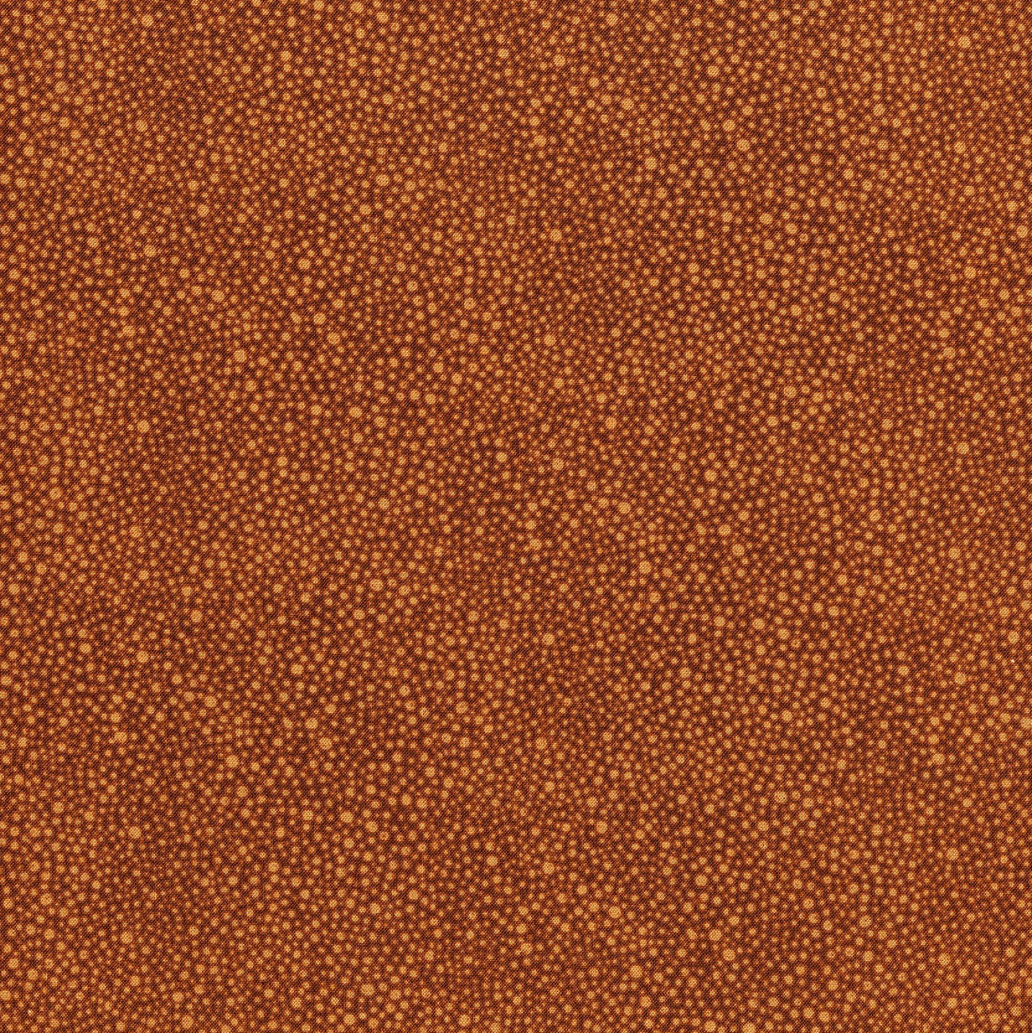 Hopscotch Dots Biscotti
