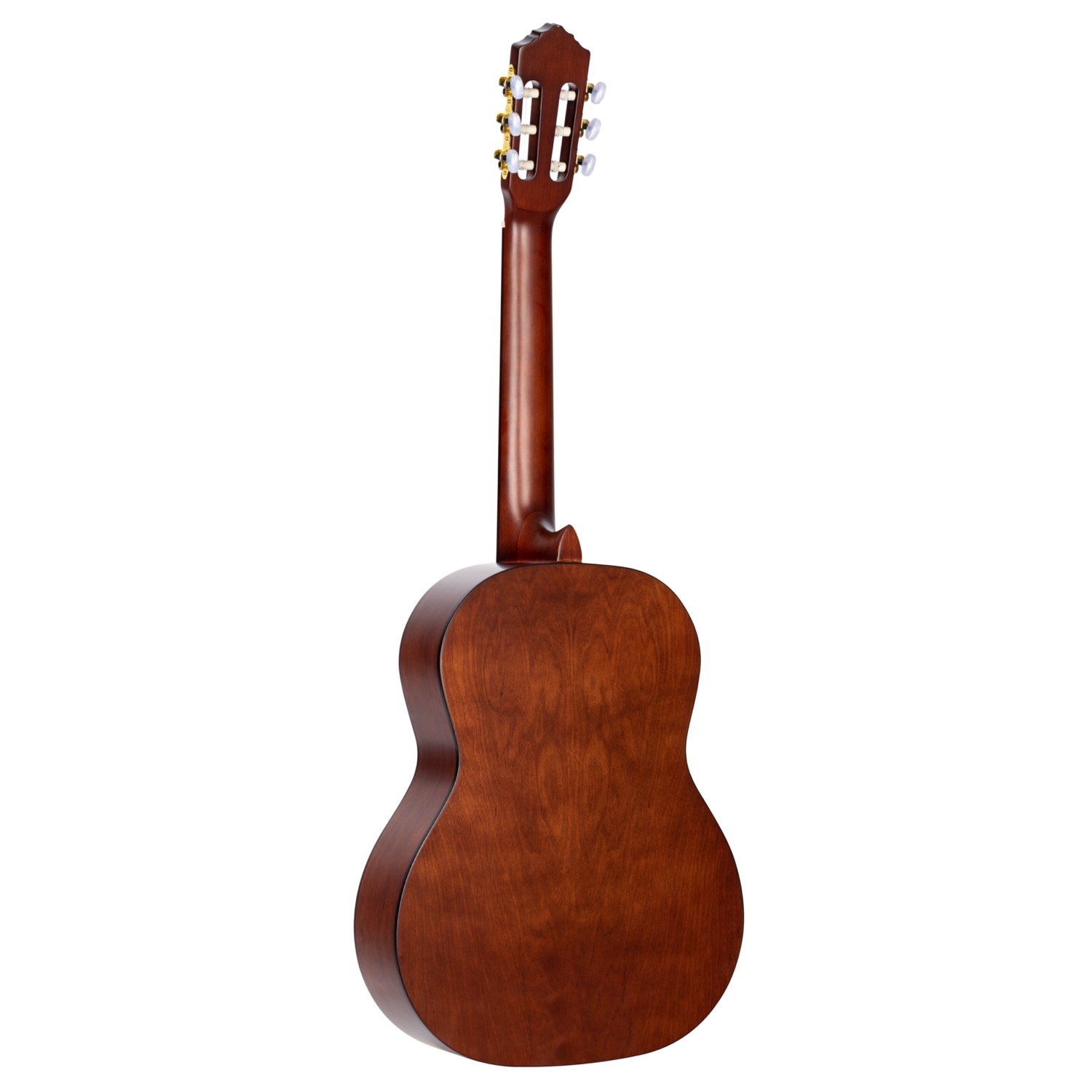 Ortega R55DLX - 2
