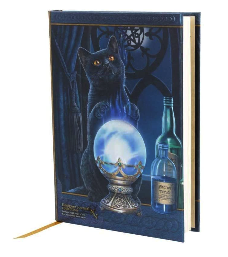 The Witches Apprentice Cat Embossed Journal - 17cm (Lisa Parker)