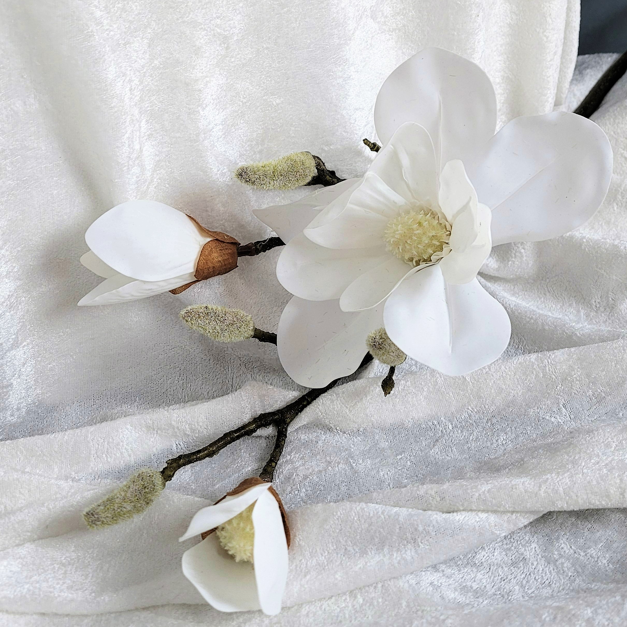 Kvist Magnolia  Vit, 70 cm