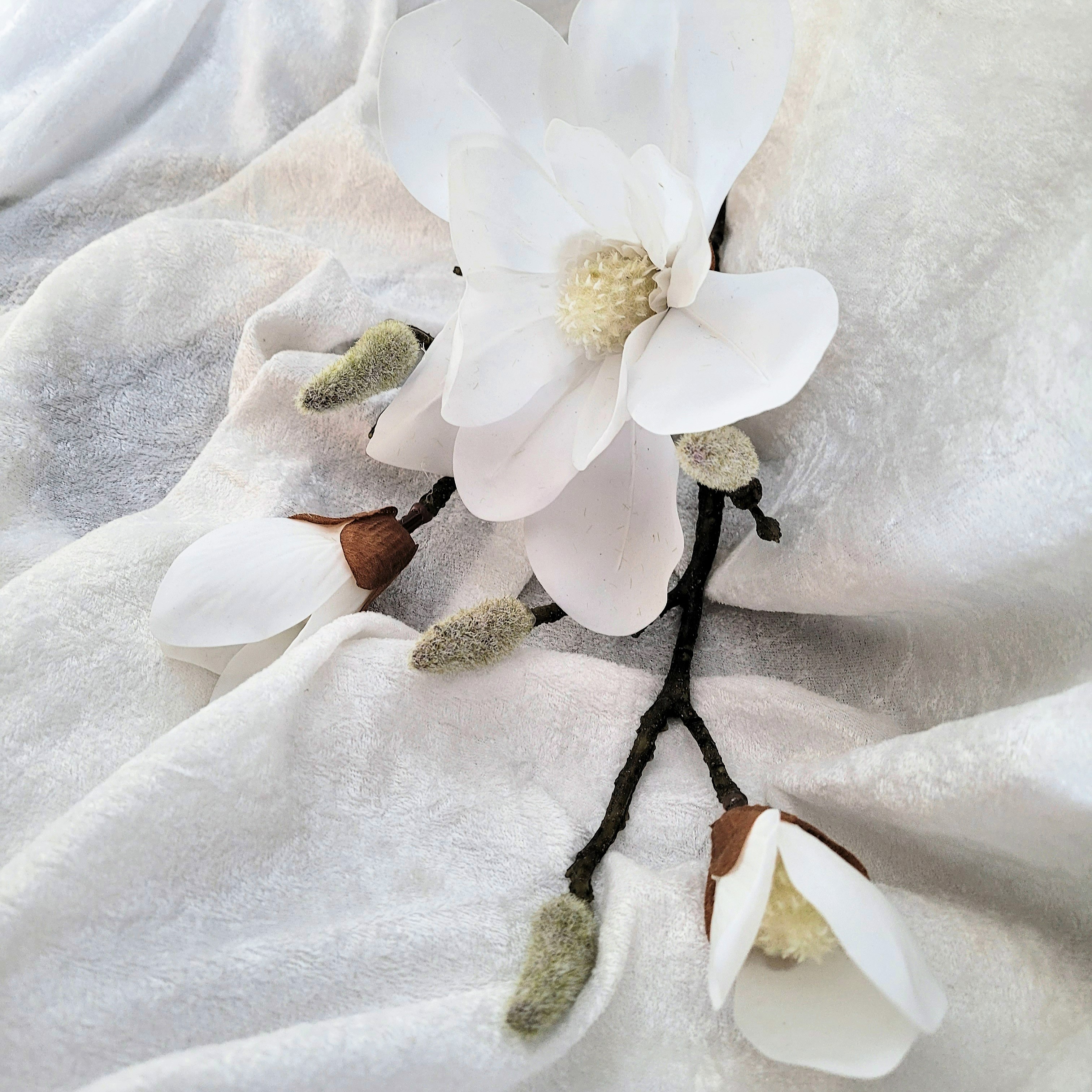 Kvist Magnolia  Vit, 70 cm - 3
