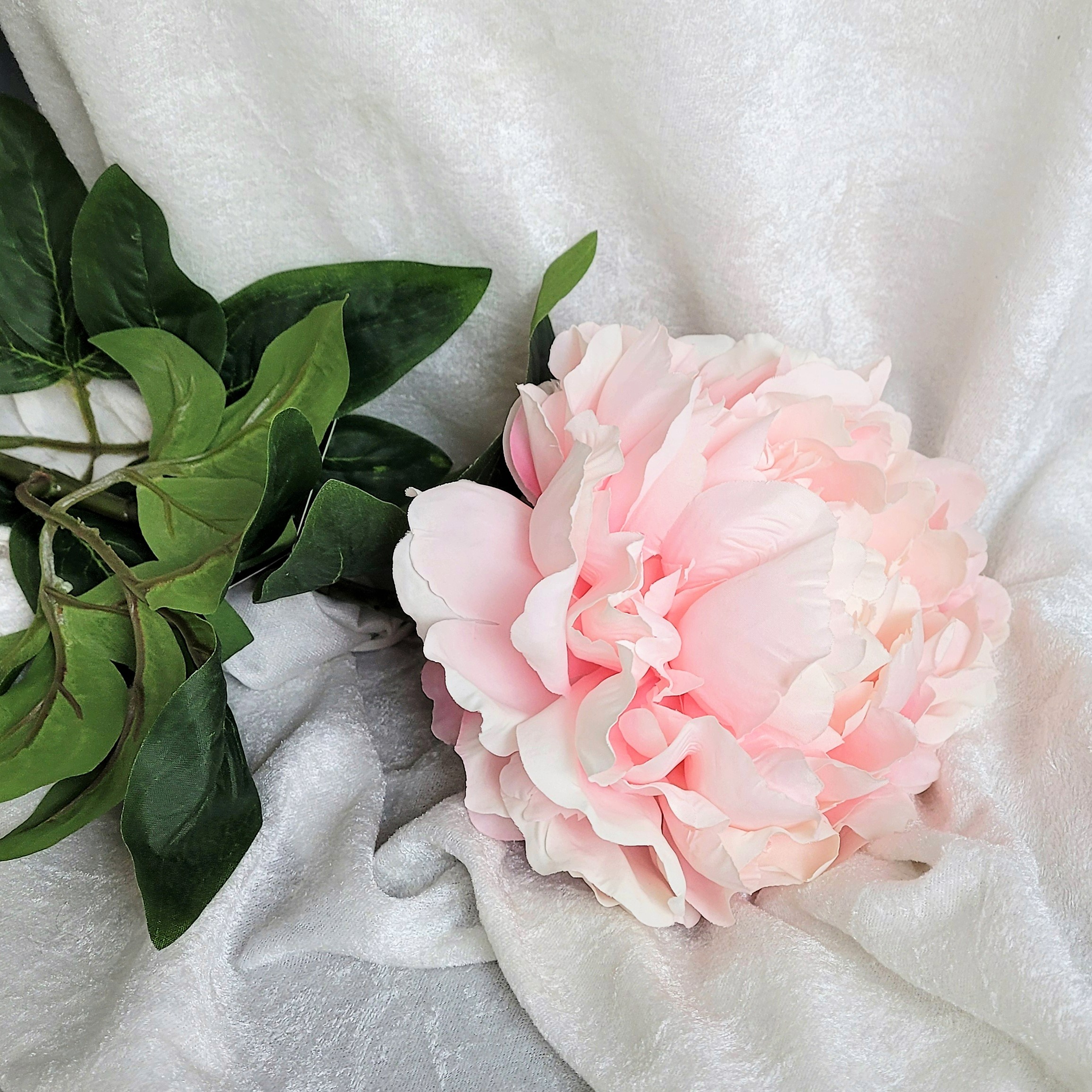 Kvist Hortensia Rosa, 70 cm - 2