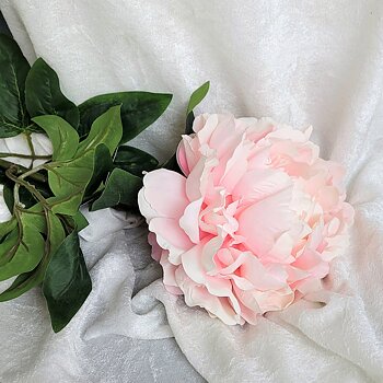 Kvist Hortensia Rosa, 70 cm