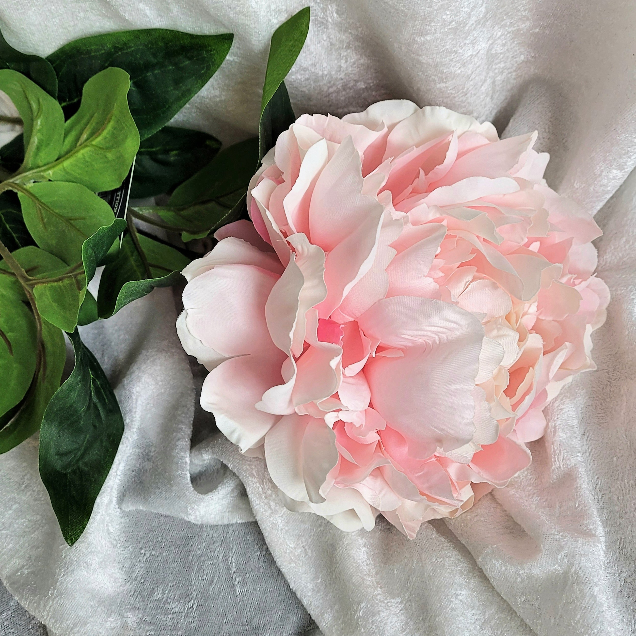 Kvist Hortensia Rosa, 70 cm