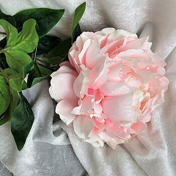 Kvist Hortensia Rosa, 70 cm