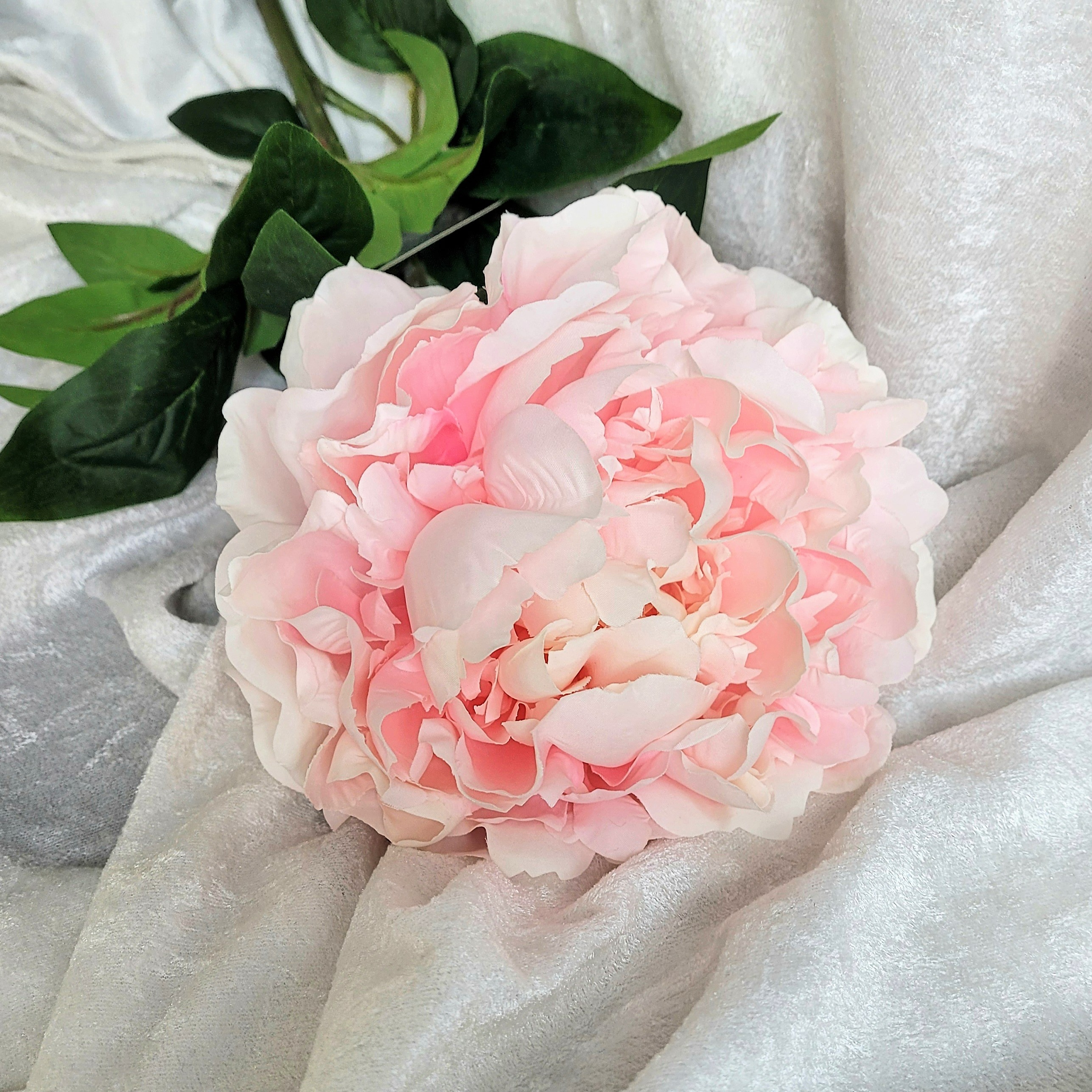 Kvist Hortensia Rosa, 70 cm - 3