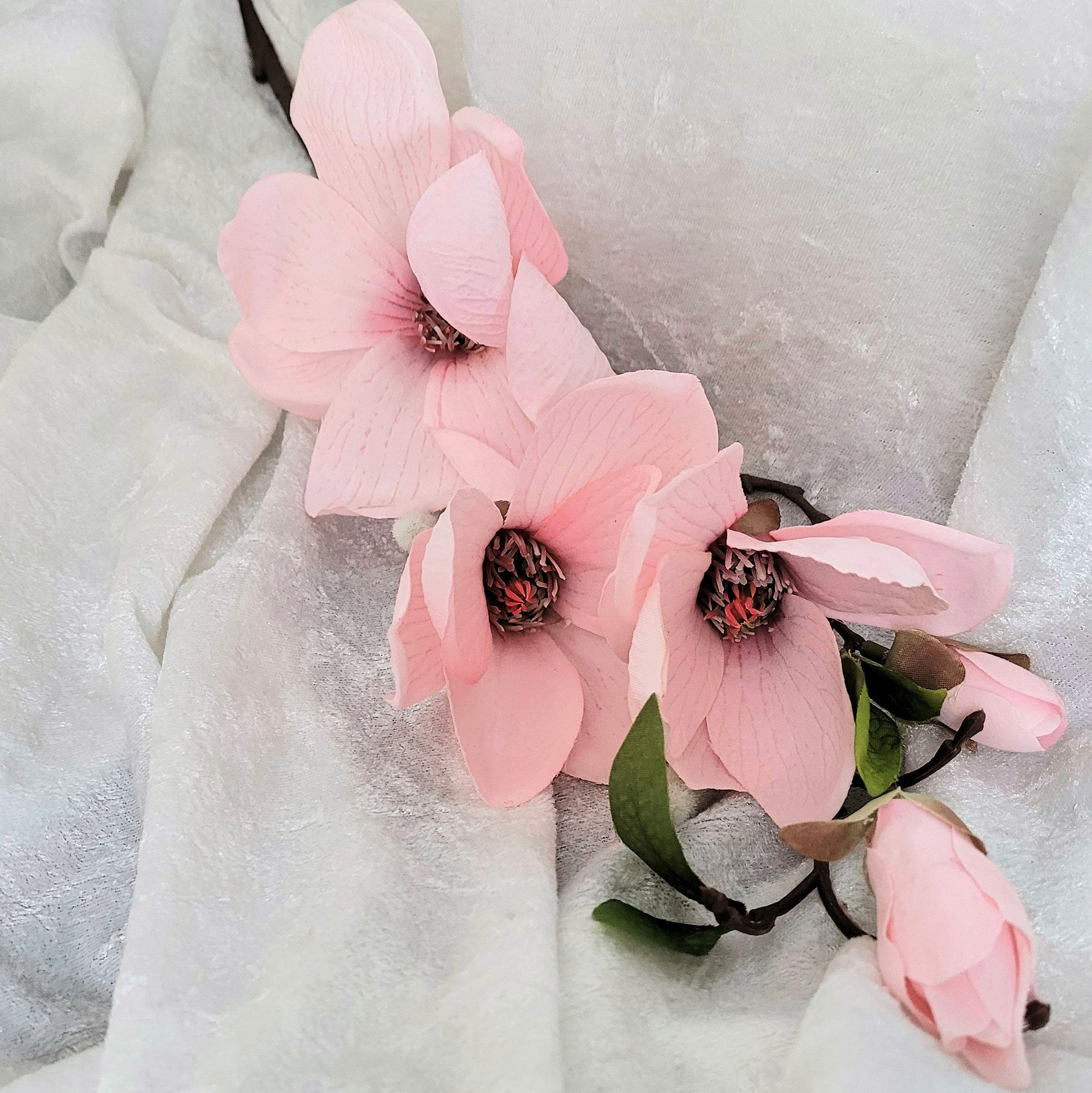 Kvist Magnolia Rosa, 45 cm