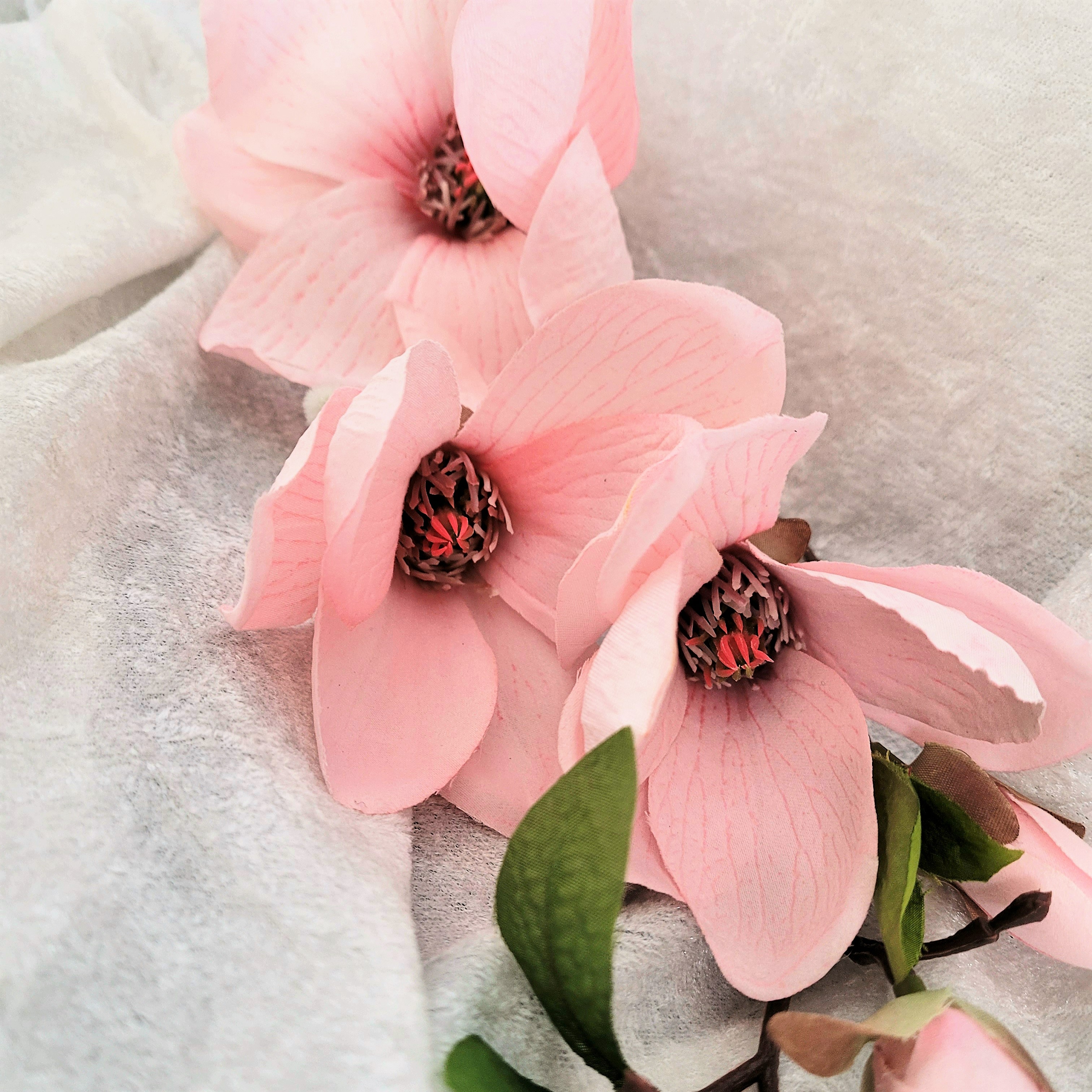 Kvist Magnolia Rosa, 45 cm - 3