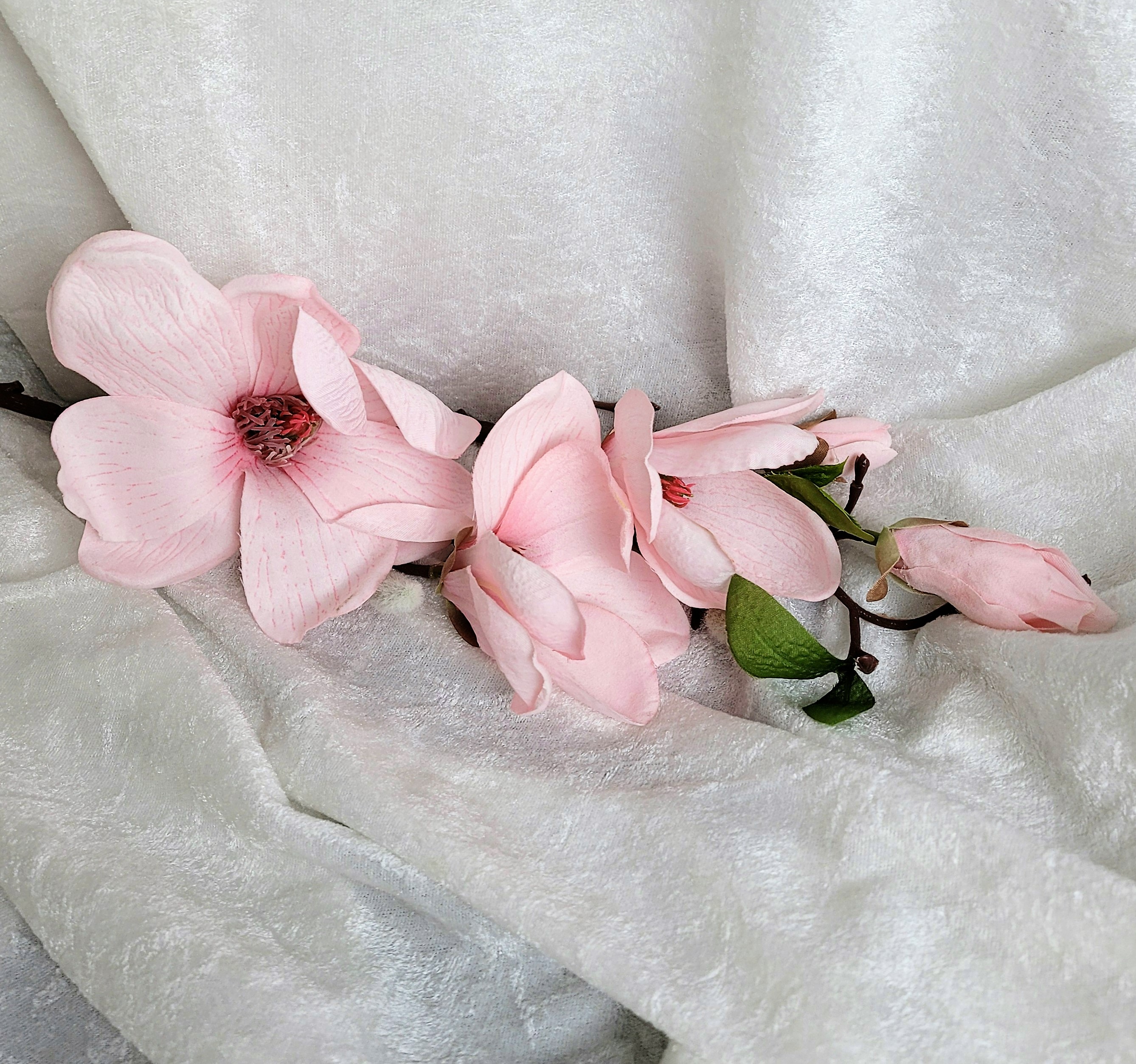 Kvist Magnolia Rosa, 45 cm - 2