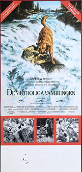DEN OTROLIGA VANDRINGEN (1993)