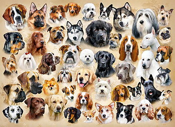 Collage with Dogs, 200-bitarspussel (B-222162)