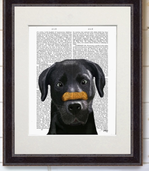 Fabfunky Labrador With Bone On Nose Painting