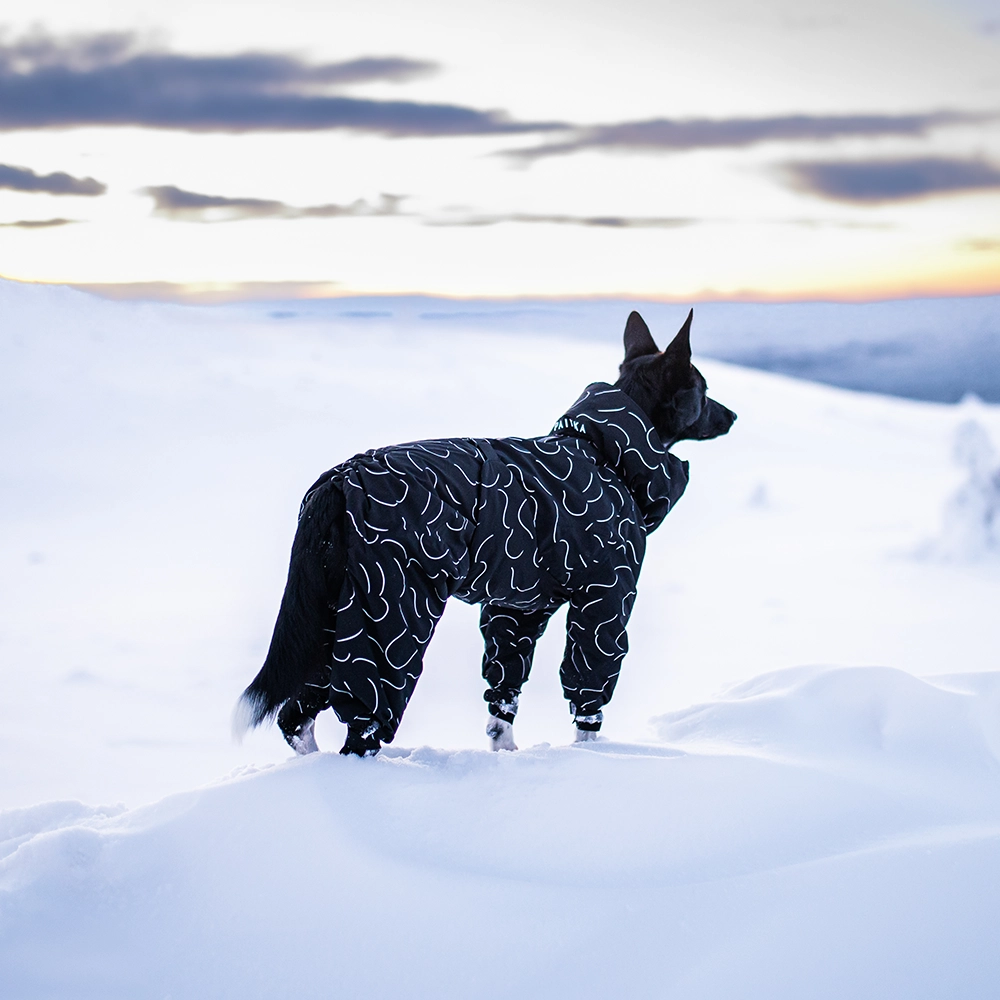 PAIKKA dog clothes for the winter