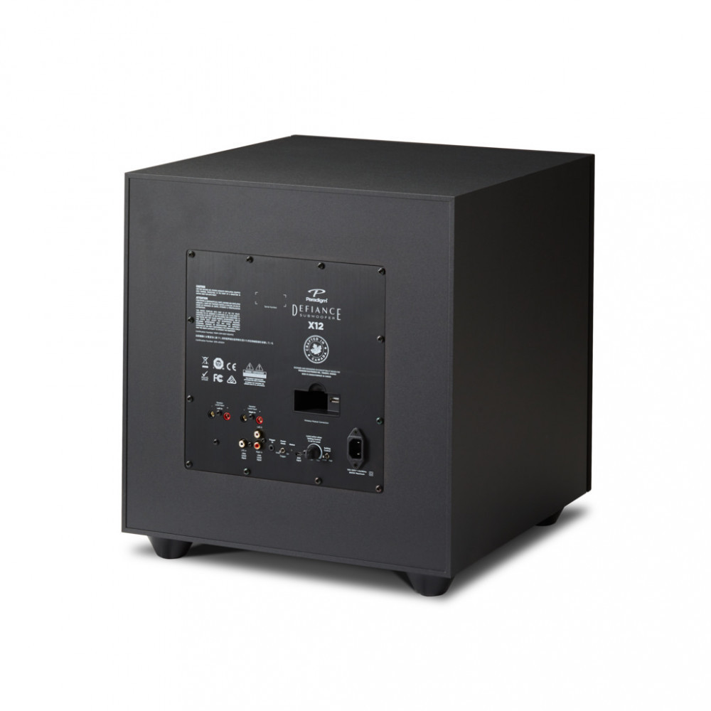 Paradigm Defiance X12 - 6