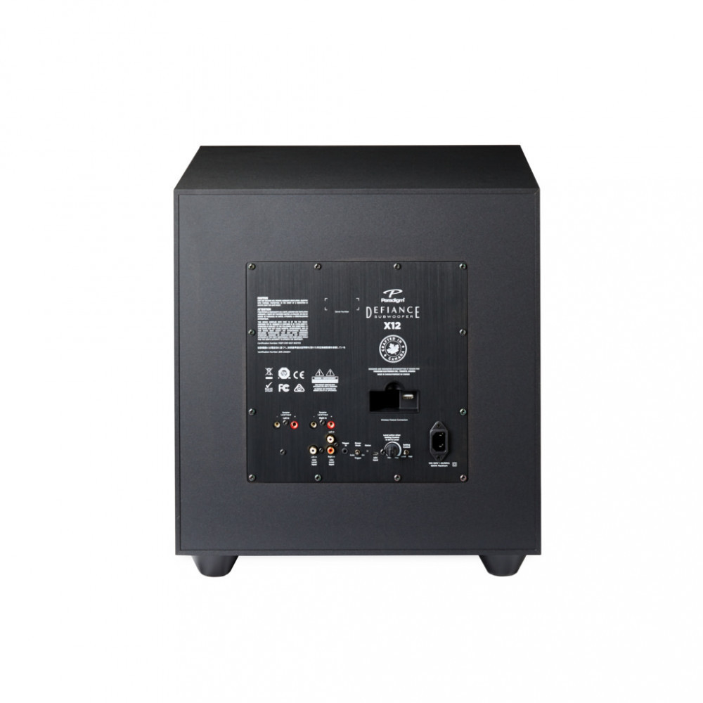 Paradigm Defiance X12 - 5