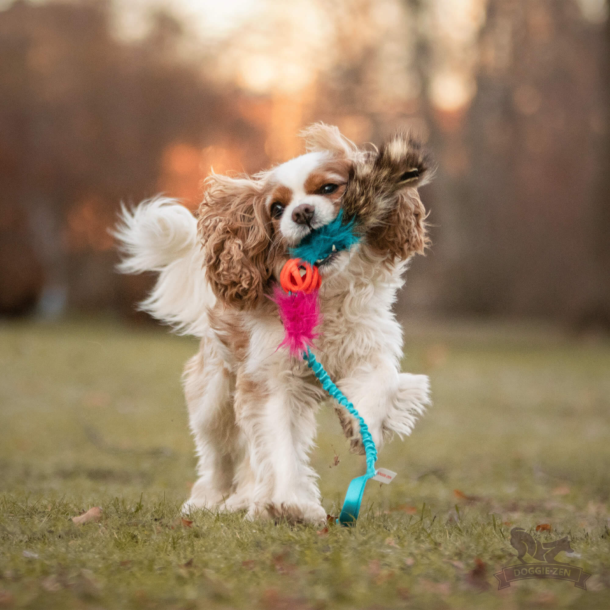 raccoon tail dog toy