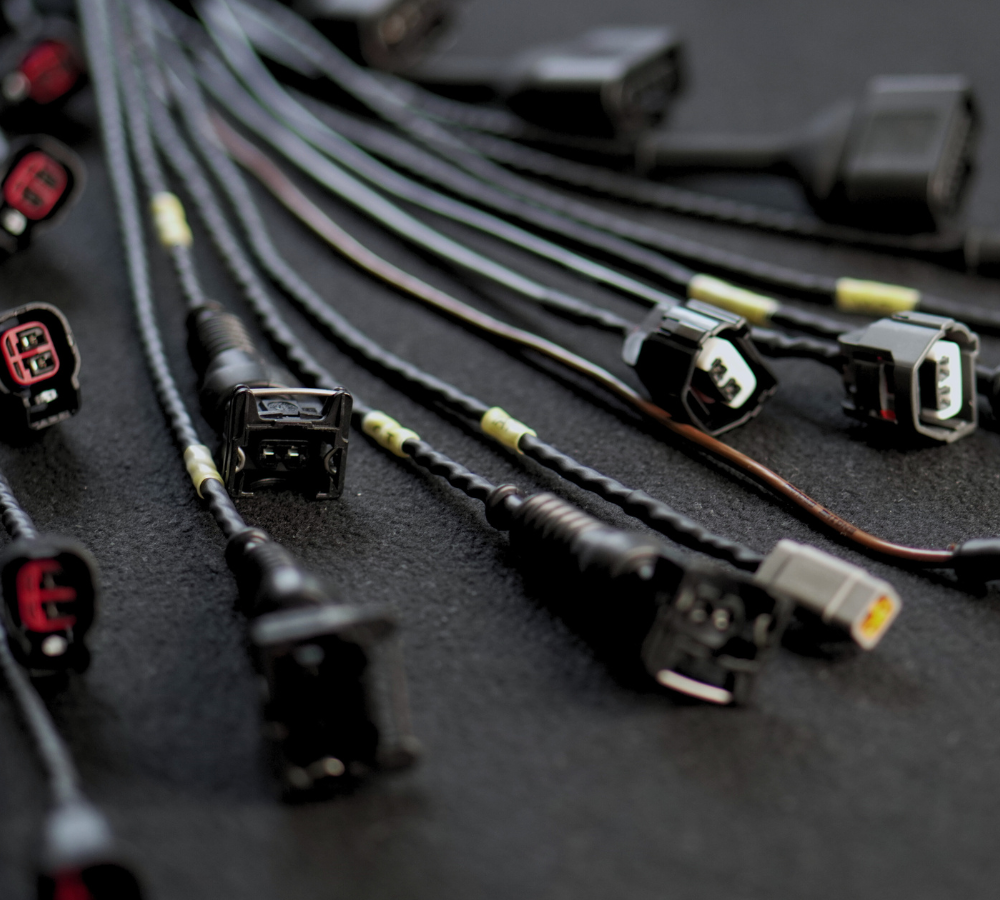 4-8 cyl Custom MaxxECU cable harness  - 2