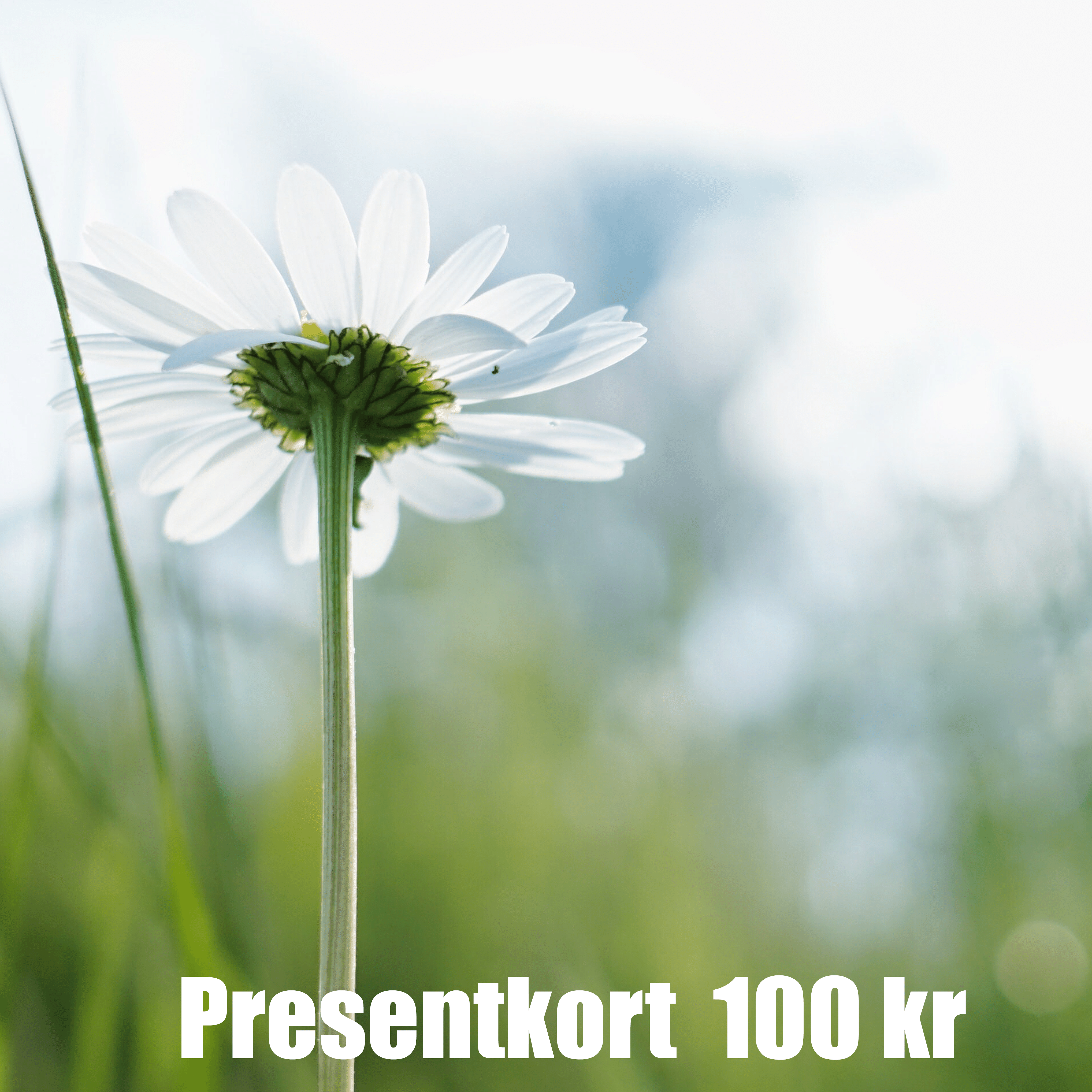 Presentkort 100 SEK