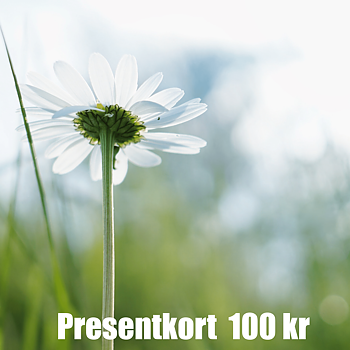 Presentkort 100 SEK