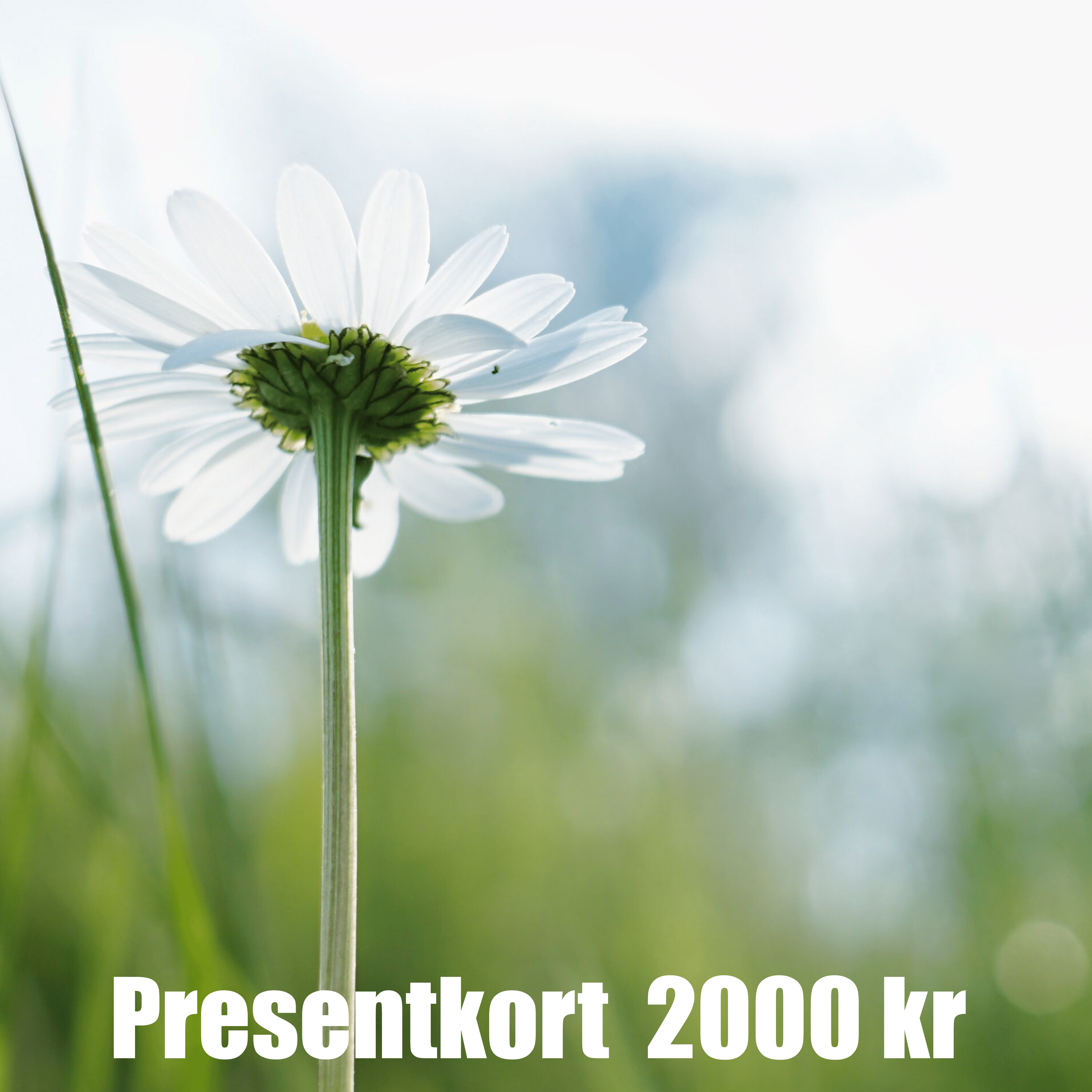 Presentkort 2000 SEK
