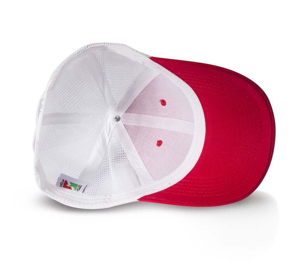 MESH - 4
