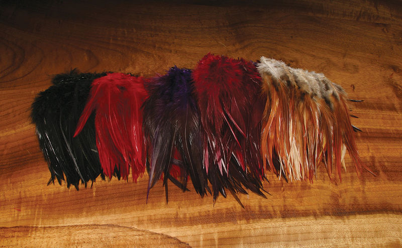 Woolly Bugger Saddle hackle 