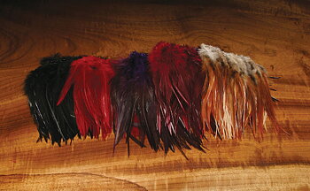 Woolly Bugger Saddle hackle 