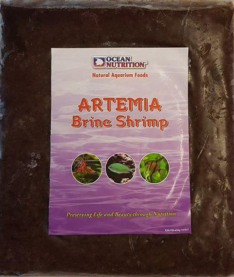 ON ARTEMIA FLATPACK