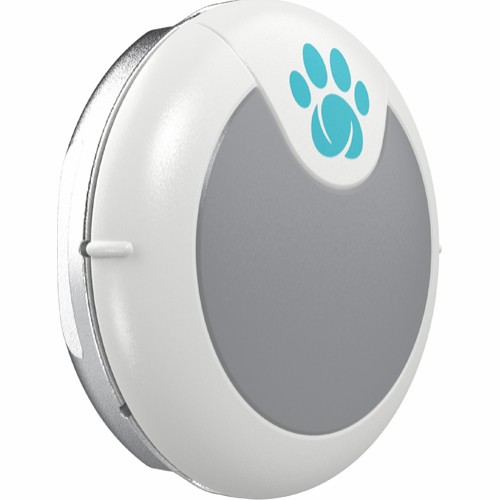 Dog Animo Behavioral Monitor