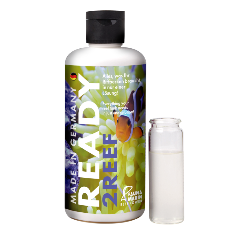 Fauna Marin Ready2reef - 2