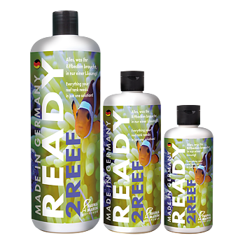 Fauna Marin Ready2reef