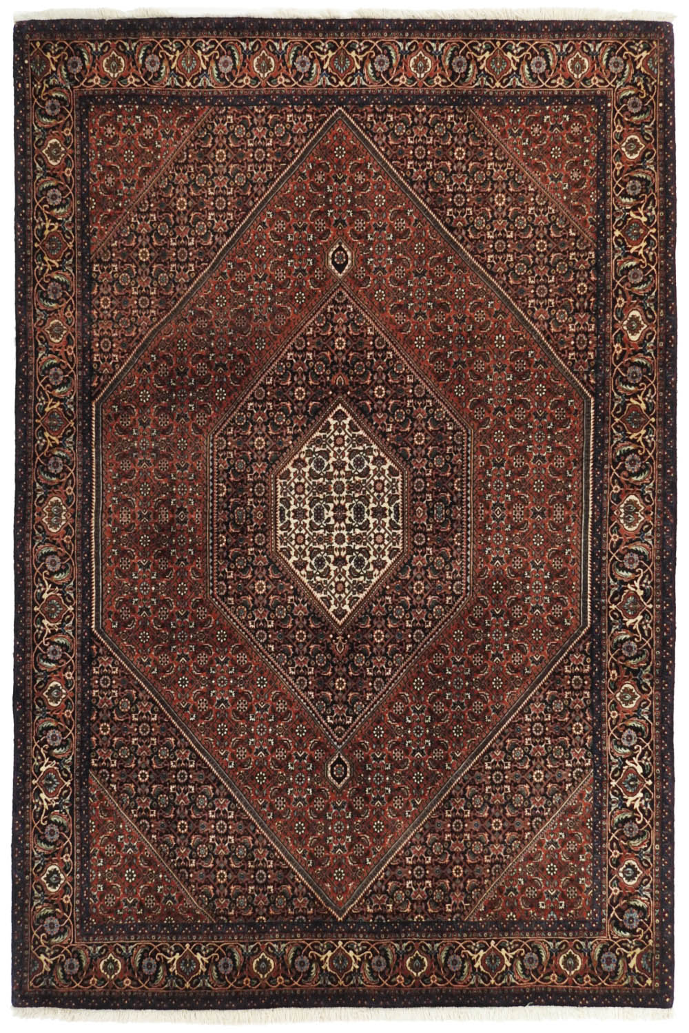 Bidjar 167x235cm