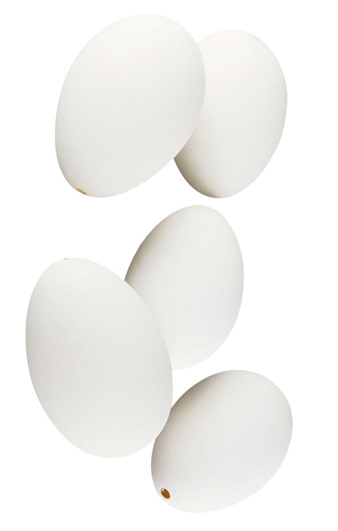 Gåsägg - Påskägg - Vit  - 3