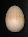 Stort ägg