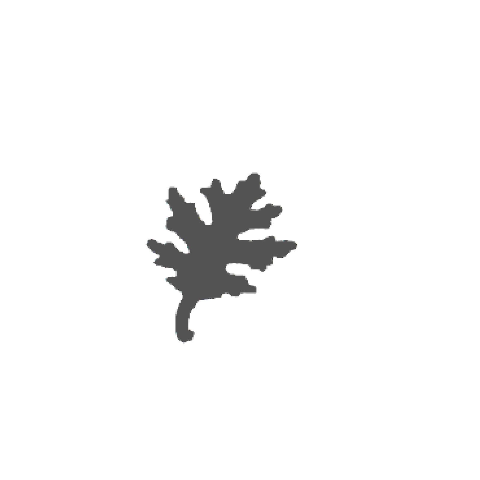 Vaessen - Craft punch - Small Oak leaf 