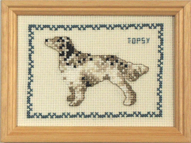 Korsstygn Tavla Hund Australian Shepherd
