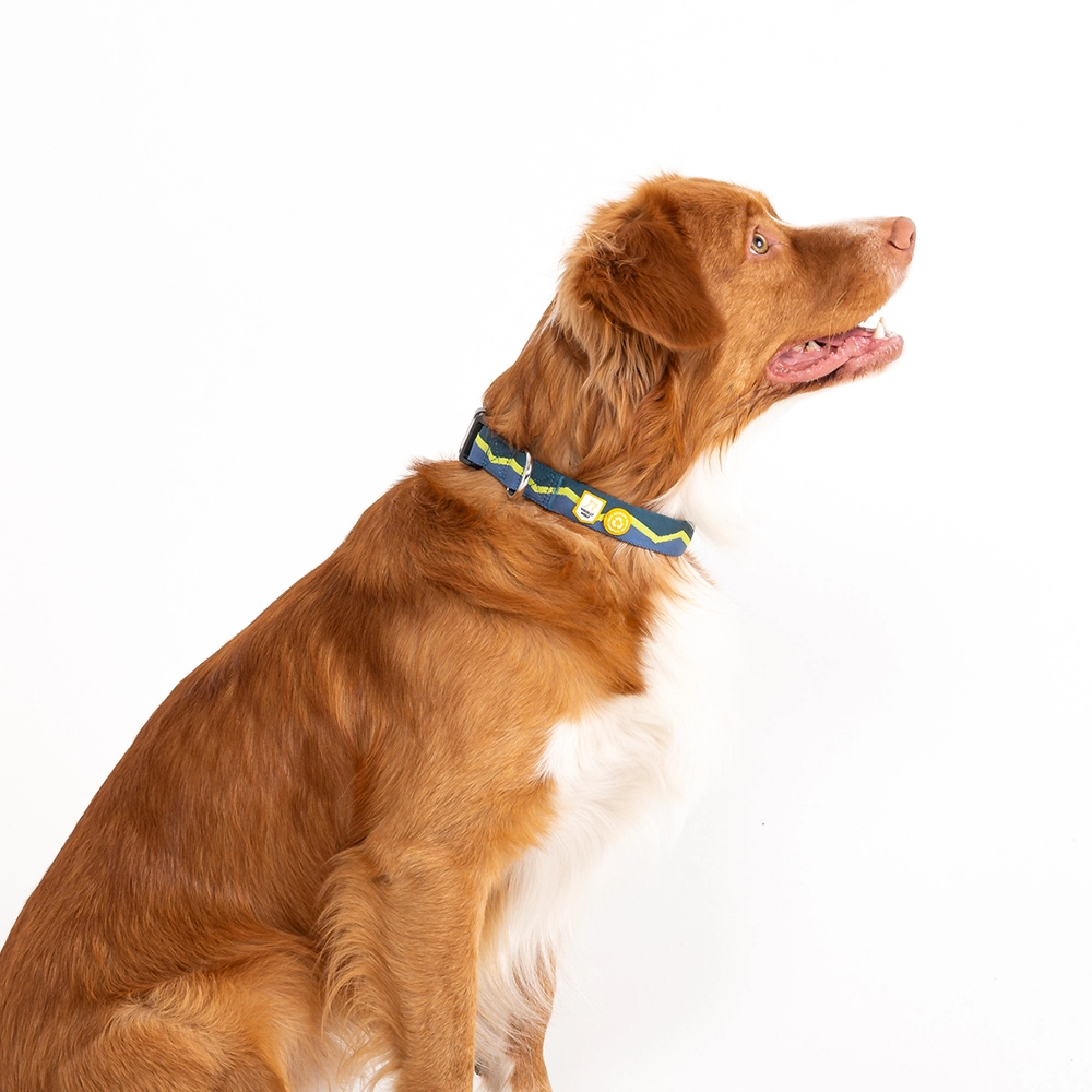 Woolly Wolf halsband - av återvunnet material - 3